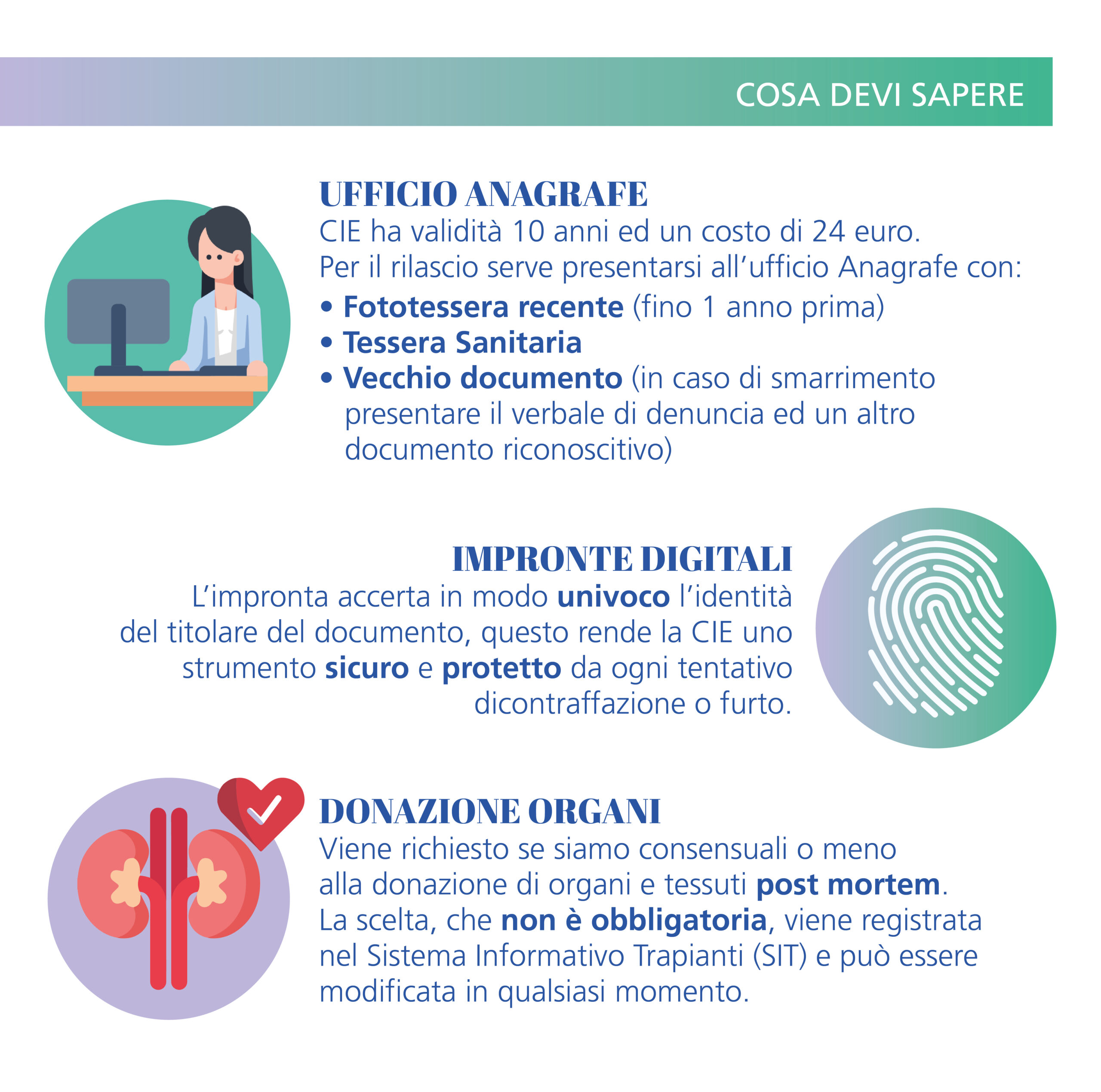 descrizione immagine