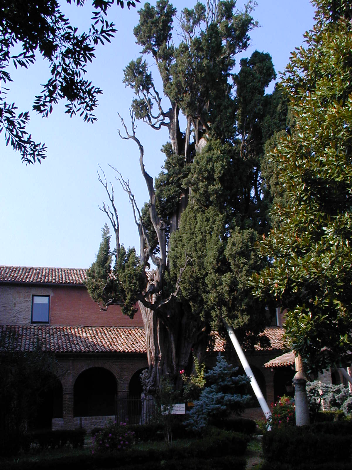 descrizione immagine