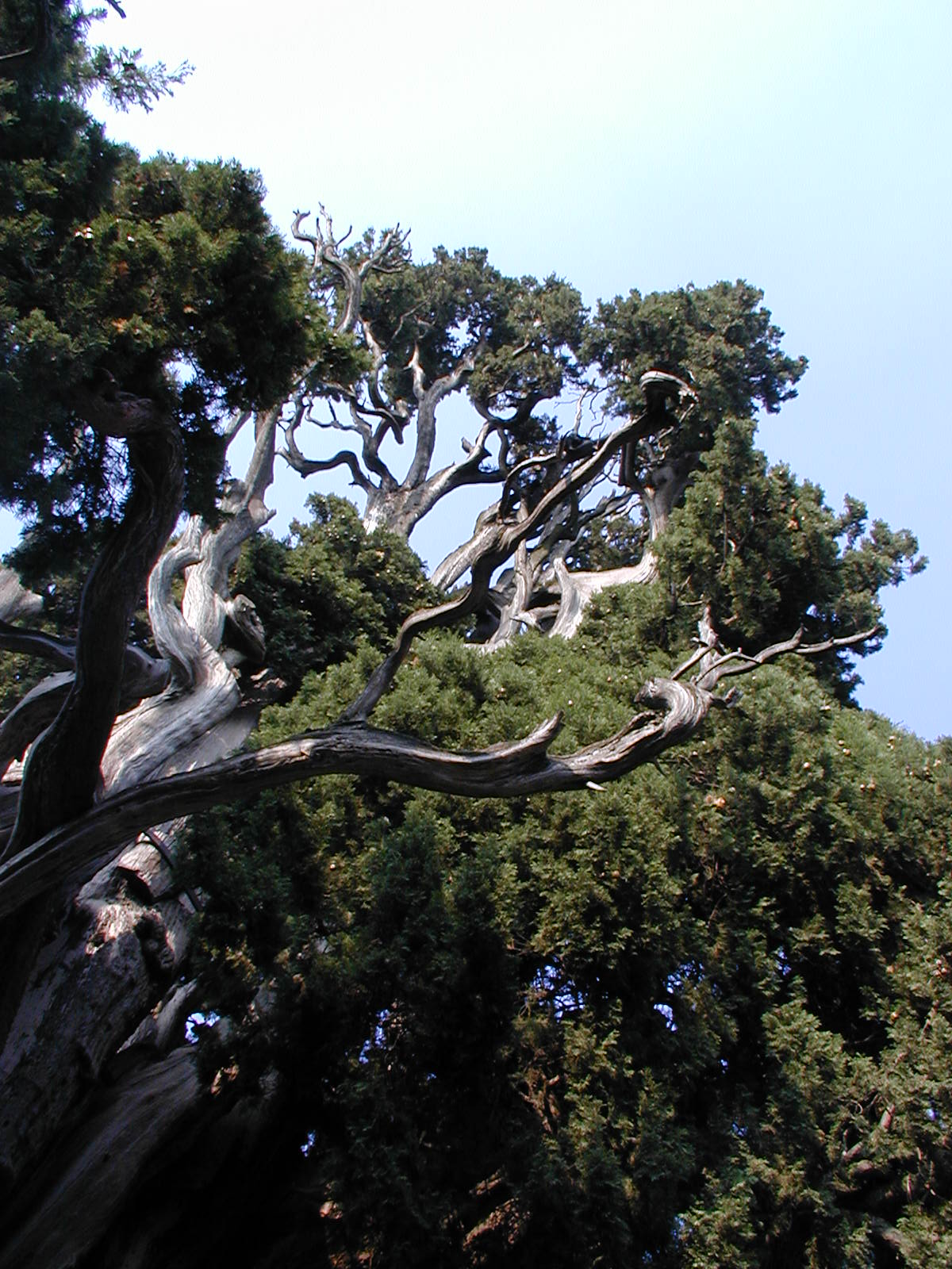 descrizione immagine