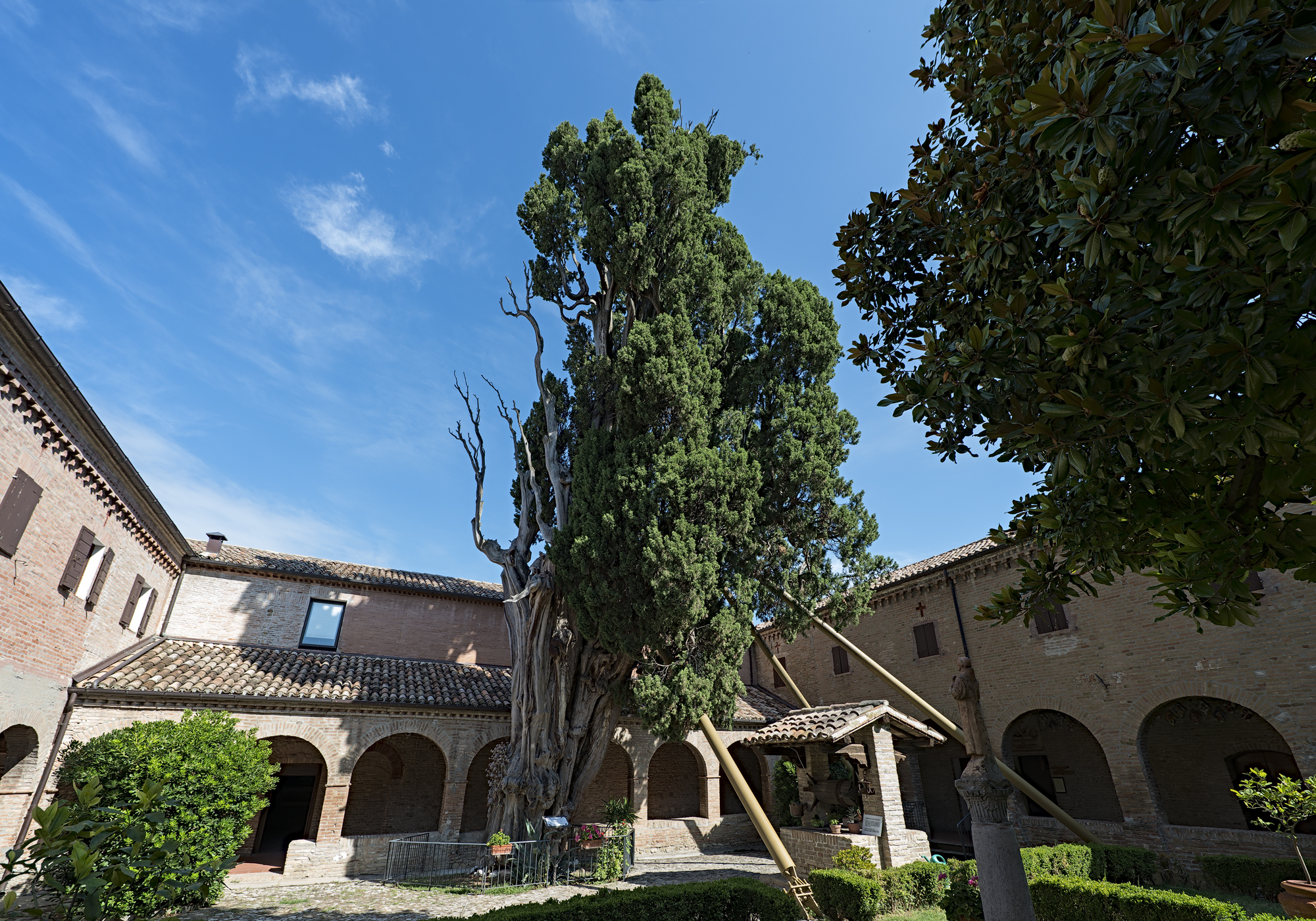 descrizione immagine