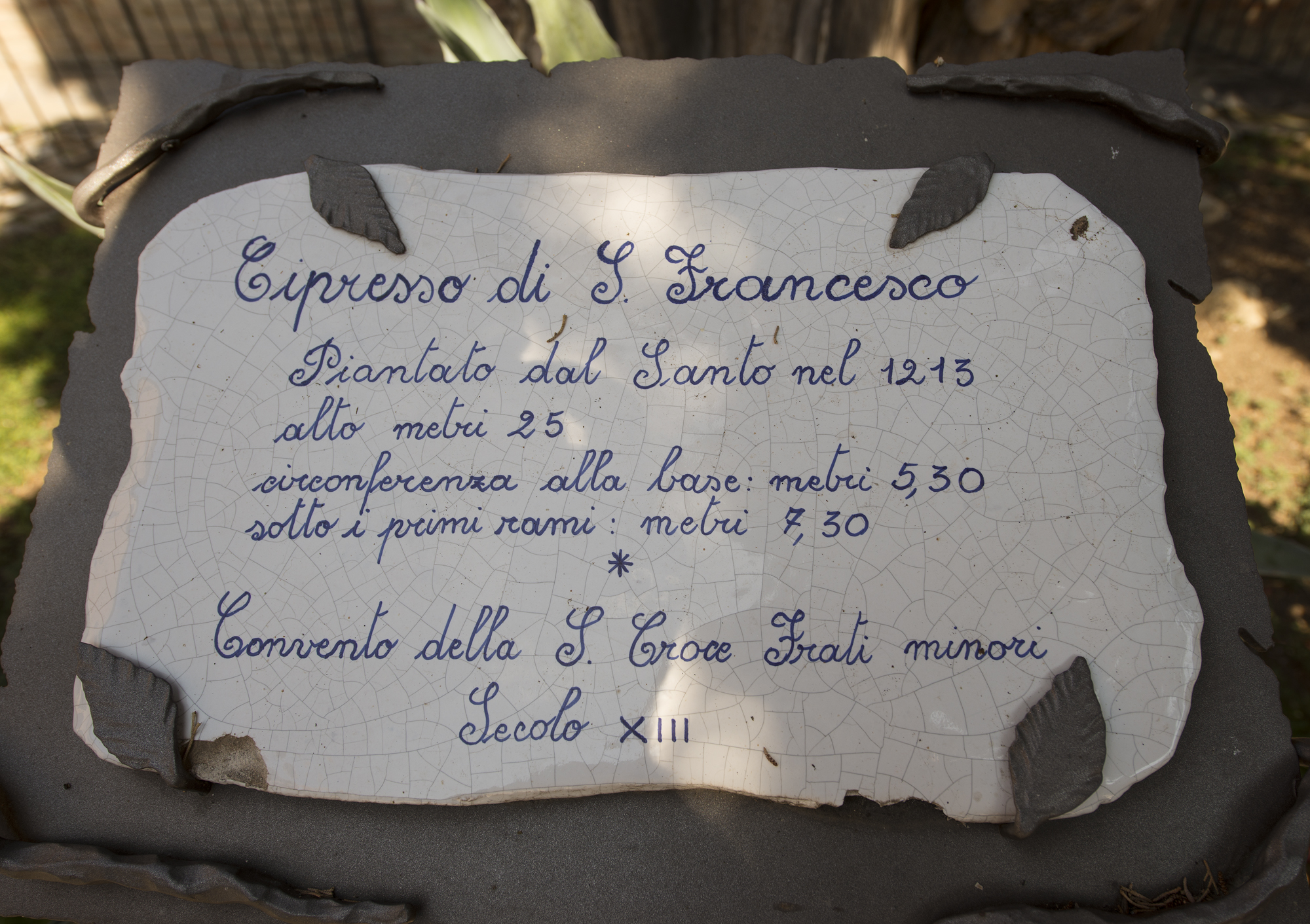 descrizione immagine