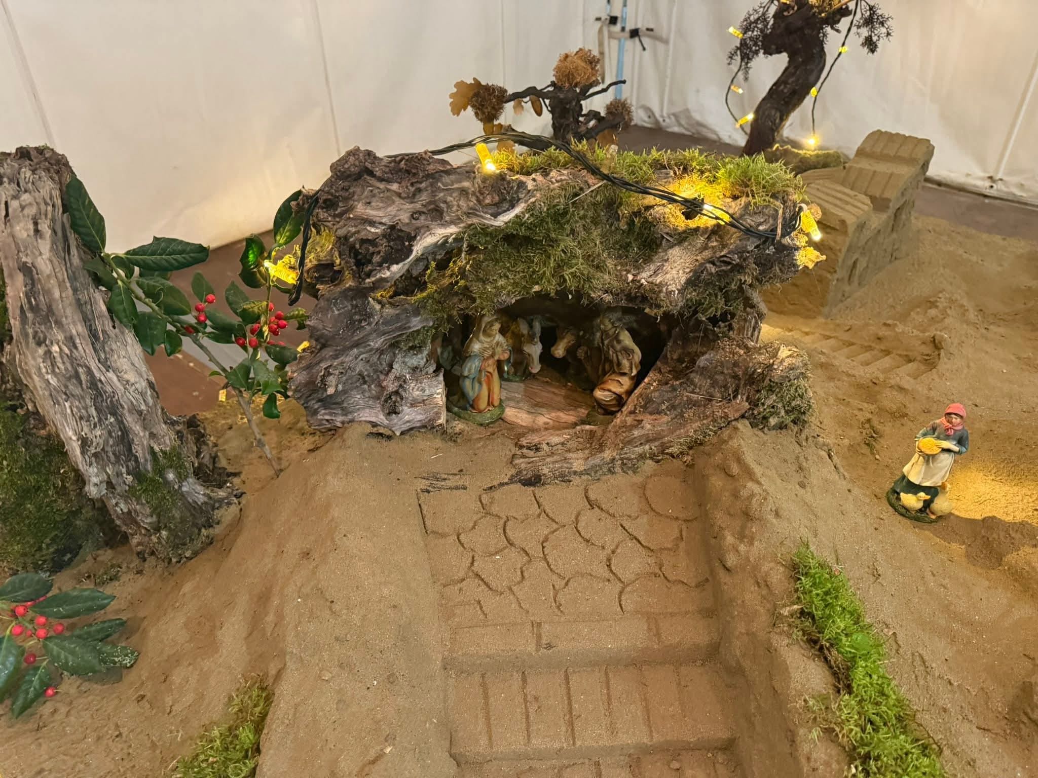 descrizione immagine