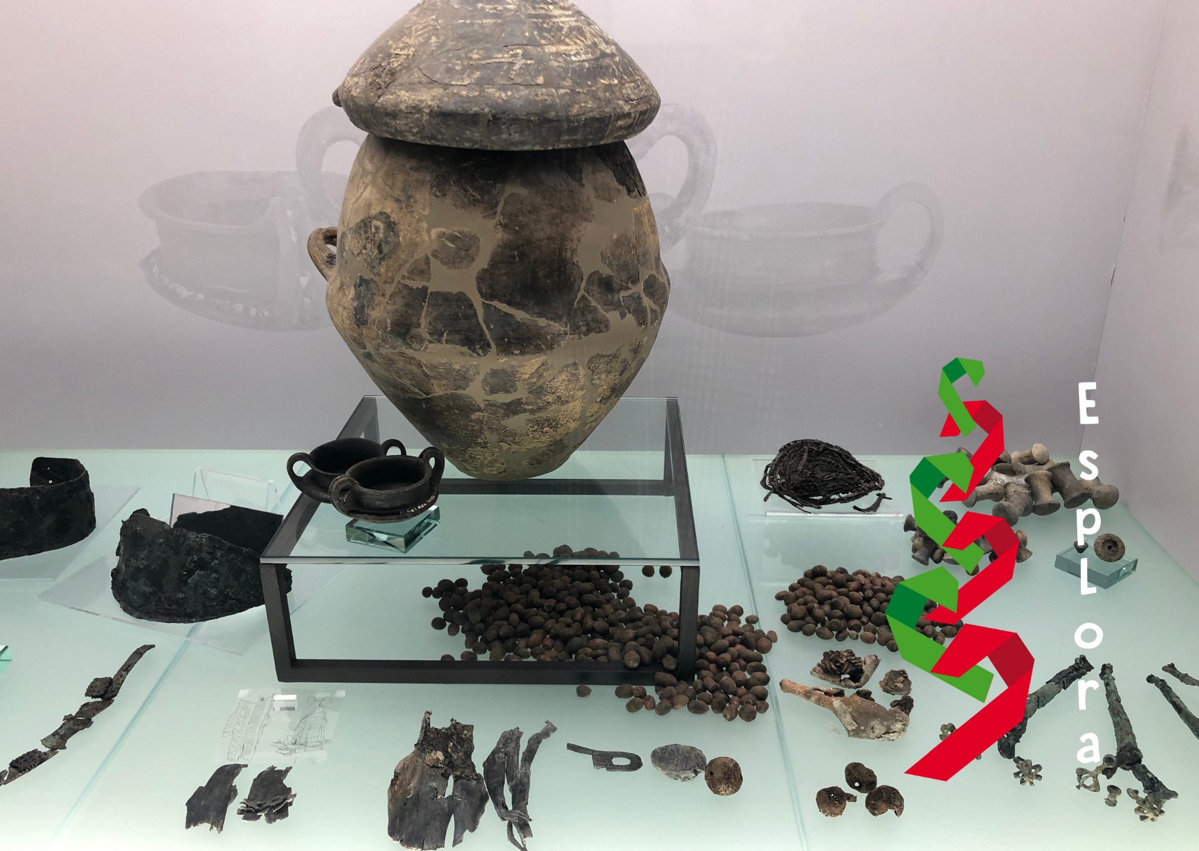 descrizione immagine