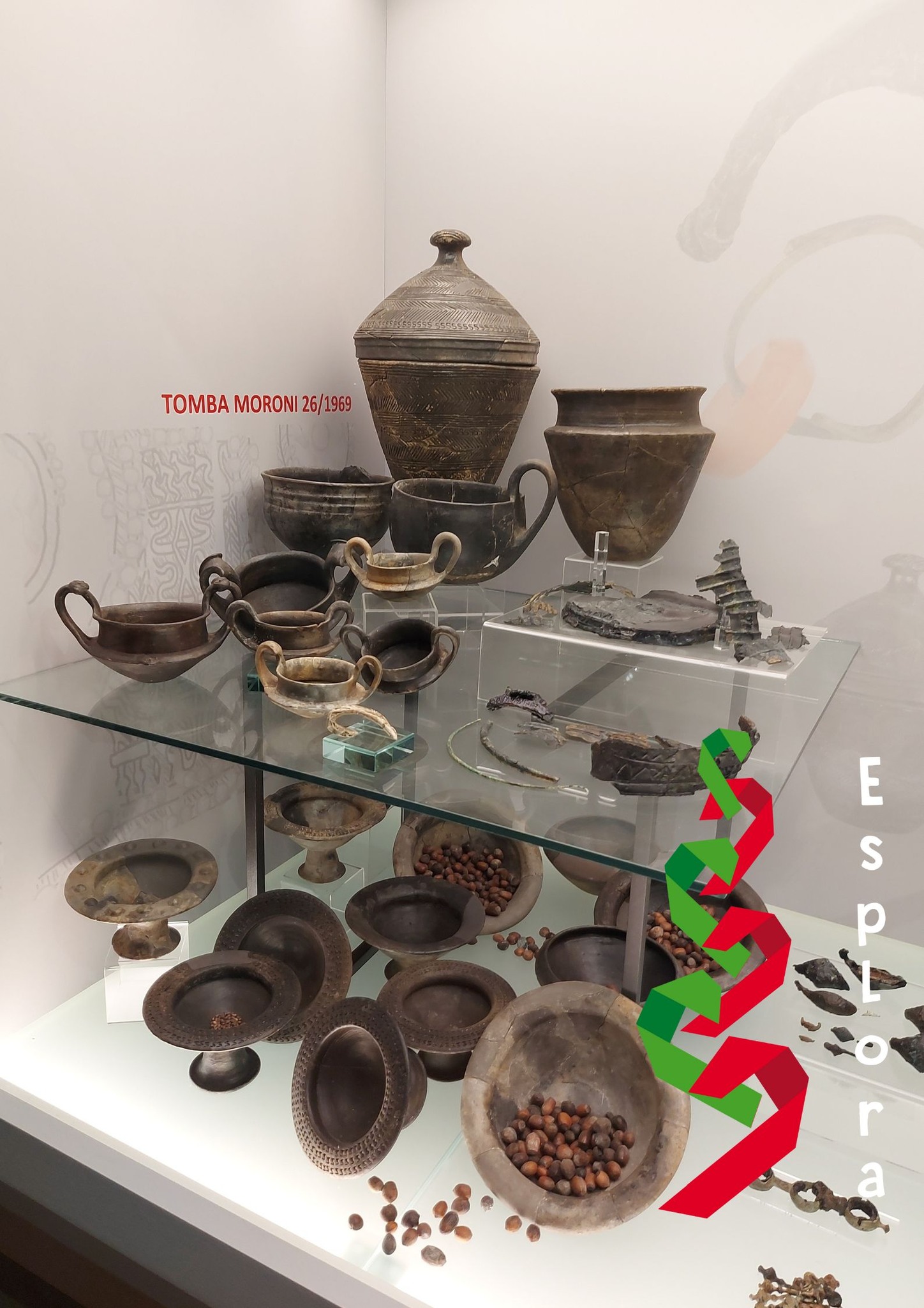 descrizione immagine