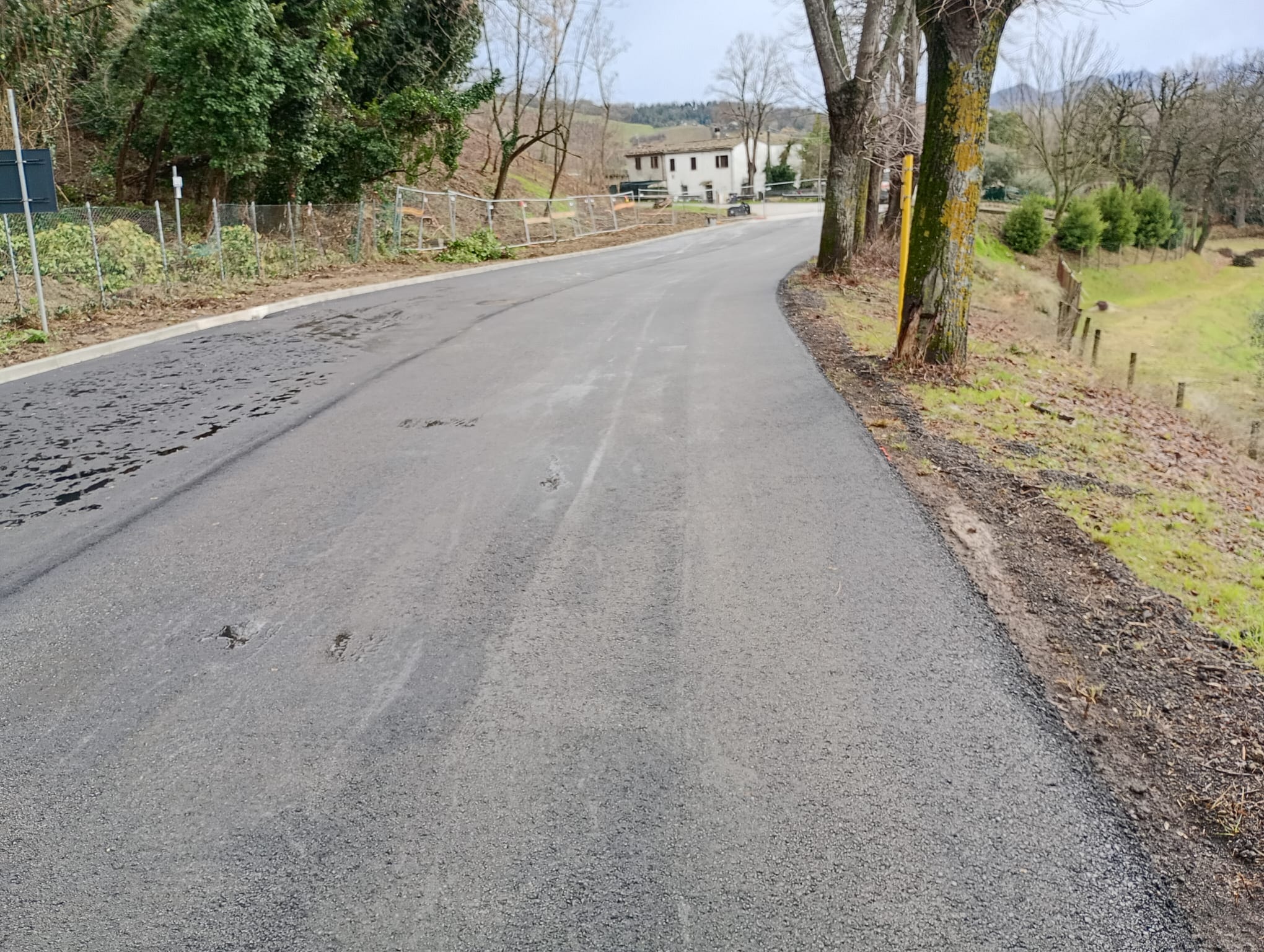 descrizione immagine