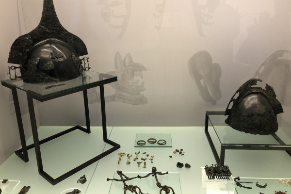 descrizione immagine