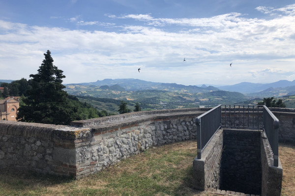 descrizione immagine