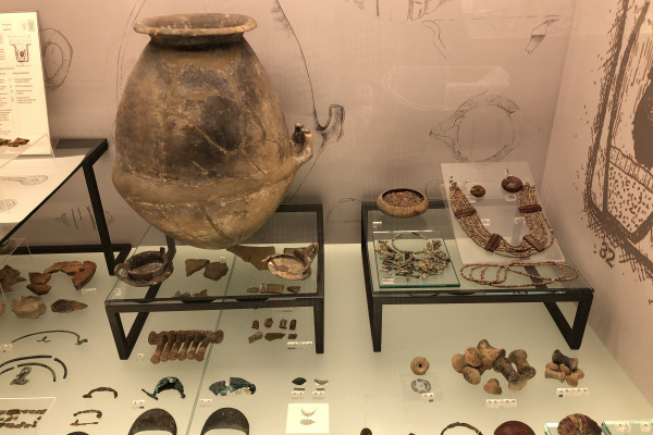 descrizione immagine