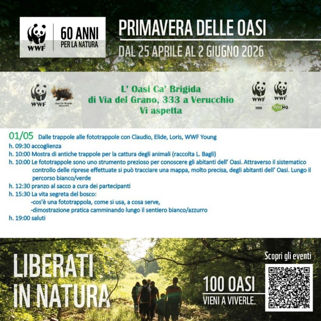 descrizione immagine