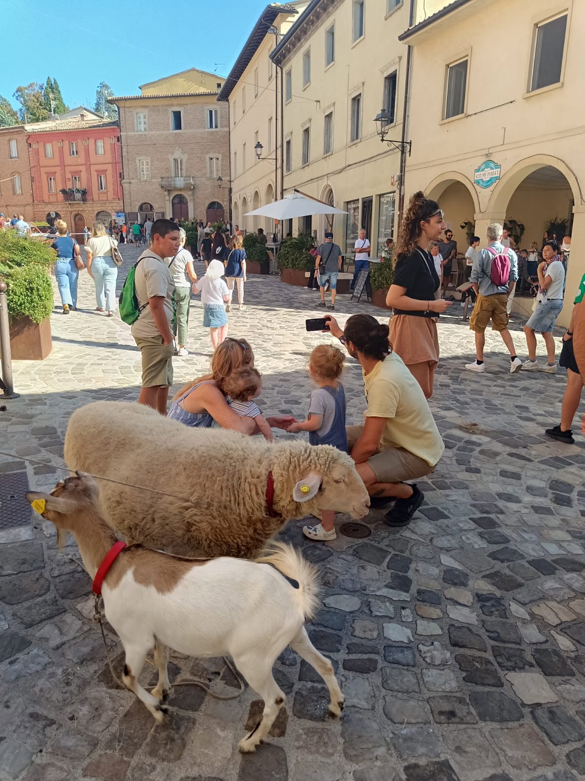 descrizione immagine